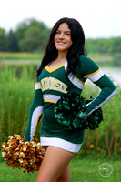 2026 Paige W-8