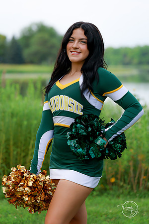 2026 Paige W-8