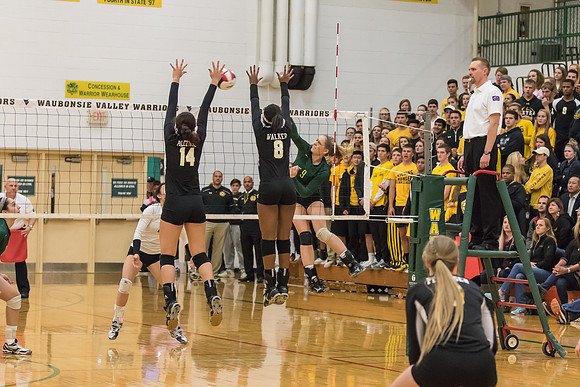 WVHS Varsity Girls Volleyball - Regionals vs Metea Valley-46