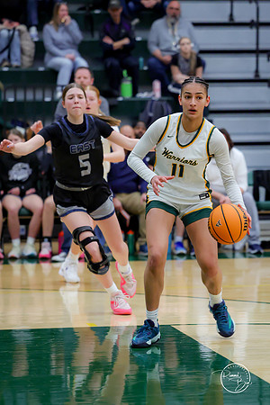 20250201 Oswego East-46