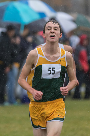 WVHS Boys Cross Country - Sectionals-26