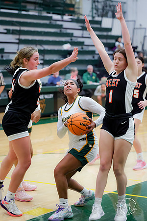 20250111 Lincoln-Way West-26