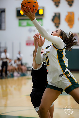 20250111 Lincoln-Way West-4