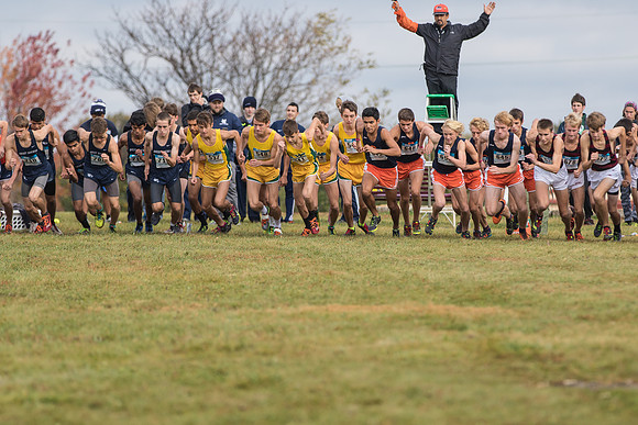 WVHS Boys CC Regionals-5