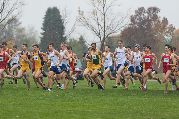 WVHS Boys Cross Country - Sectionals-7