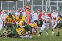2015 WVHS Football vs Naperville Central -2