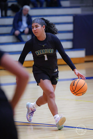 20250204 Neuqua Valley-4