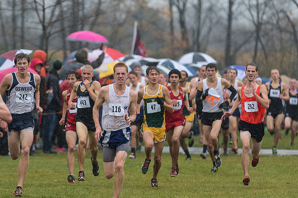 WVHS Boys Cross Country - Sectionals-9