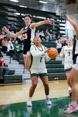 20250111 Lincoln-Way West-77