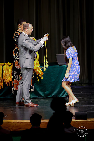 2025 IP Scholar-250