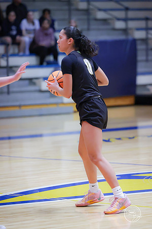 20250204 Neuqua Valley-8