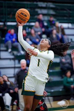 20250211 Naperville Central-76