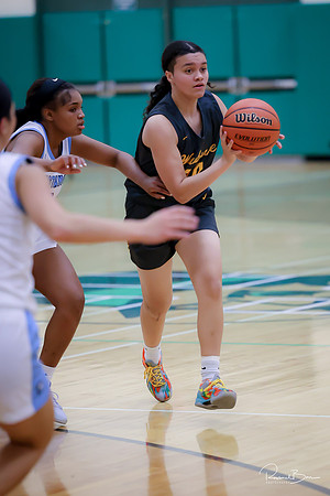20241121 Downers Grove South-63