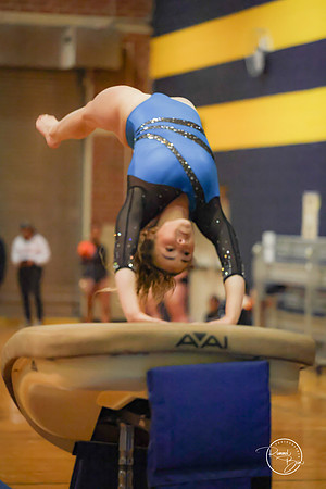 20250123 Valley Co-Op Gymnastics-49
