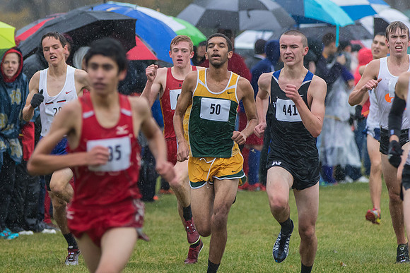 WVHS Boys Cross Country - Sectionals-13