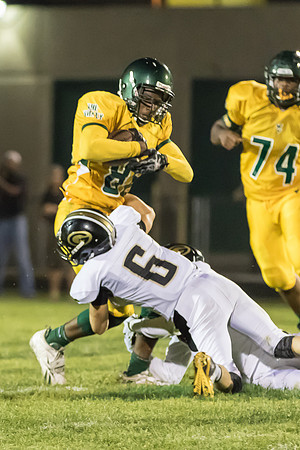 2015 Glenbard North Game-84
