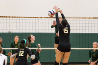 WVHS Varsity Girls Volleyball - Regionals vs Metea Valley-17