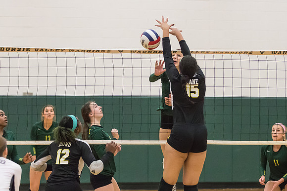 WVHS Varsity Girls Volleyball - Regionals vs Metea Valley-17