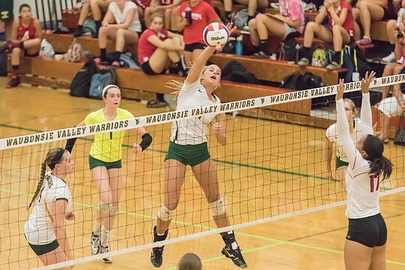 2015 Girls Volleyball vs Hinsdale Central-22