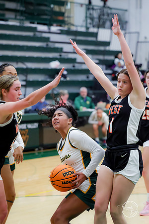 20250111 Lincoln-Way West-25