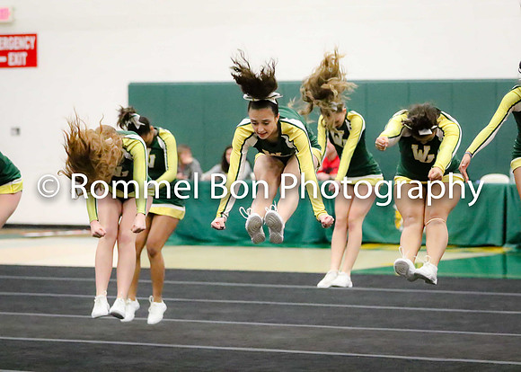 20180116 WV JV Dance Conference-27