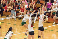 2015 Girls Volleyball vs Hinsdale Central-18
