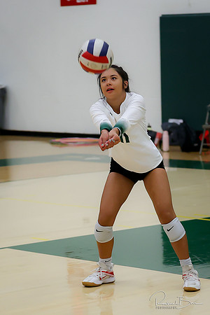 2022 WV Volleyball Seniors Action Shots-101
