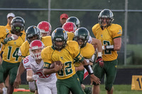 2015 WVHS Football vs Naperville Central -12