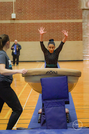 20250123 Valley Co-Op Gymnastics-1