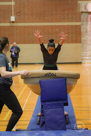 20250123 Valley Co-Op Gymnastics-2