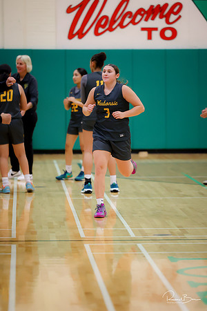 20241121 Downers Grove South-7