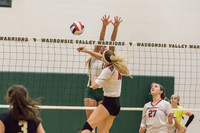 2015 Girls Volleyball vs Hinsdale Central-1