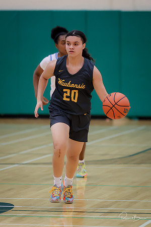 20241121 Downers Grove South-106