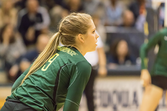 2015 WVHS Varsity Girls Volleyball vs Neuqua Valley-82