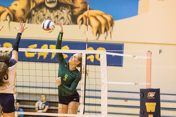2015 WVHS Varsity Girls Volleyball vs Neuqua Valley-5