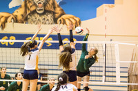 Varsity Girls Volleyball vs Neuqua Valley
