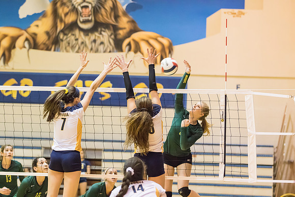 2015 WVHS Varsity Girls Volleyball vs Neuqua Valley-9