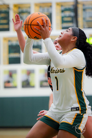 20250111 Lincoln-Way West-113