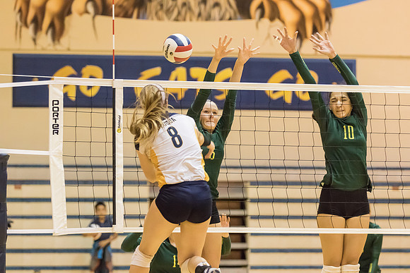 2015 WVHS Varsity Girls Volleyball vs Neuqua Valley-75