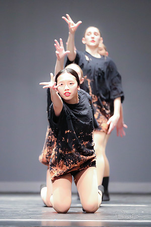 2020 WV Orchesis Showcase-130