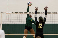 WVHS Varsity Girls Volleyball - Regionals vs Metea Valley-20