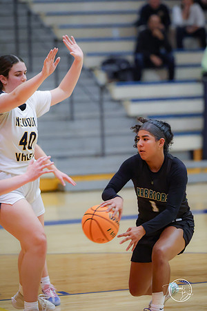 20250204 Neuqua Valley-9