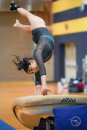 20250123 Valley Co-Op Gymnastics-20