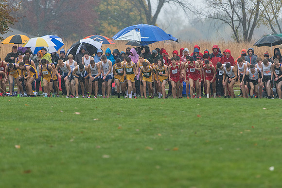WVHS Boys Cross Country - Sectionals-4
