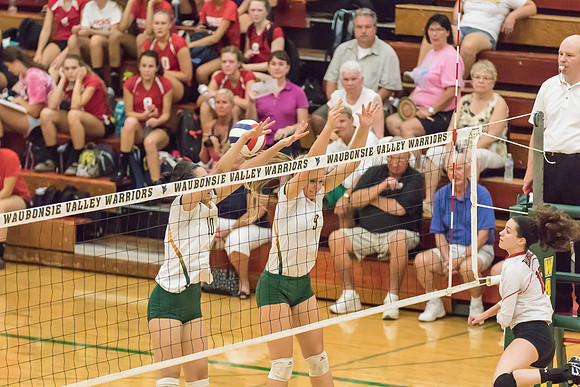 2015 Girls Volleyball vs Hinsdale Central-25