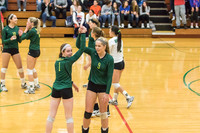 WVHS Varsity Girls Volleyball - Regionals vs Metea Valley-8