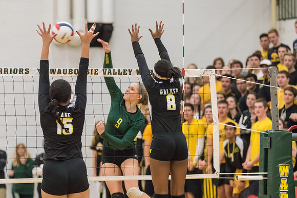 WVHS Varsity Girls Volleyball - Regionals vs Metea Valley-41