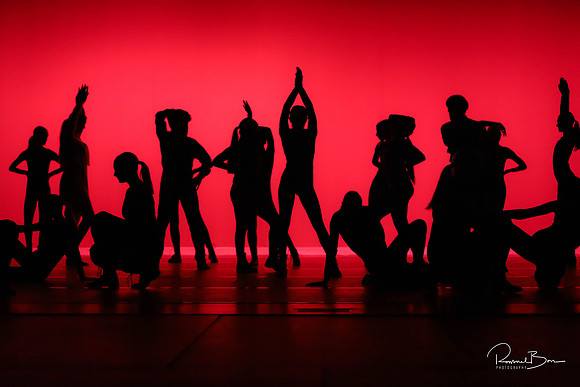 2020 WV Orchesis Showcase-571