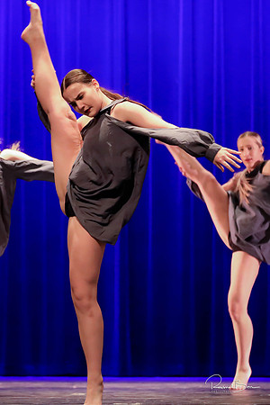 2020 WV Orchesis Showcase-339