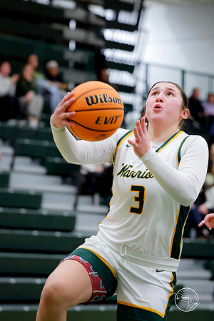 20250111 Lincoln-Way West-47